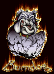Avatar du membre